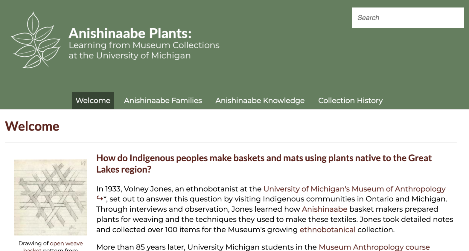 Anishinaabe Plants: Learning from Museum Collections at the University of Michigan